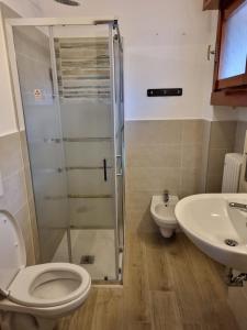 a bathroom with a shower and a toilet and a sink at Appartamenti Massimiliano in Peschiera del Garda