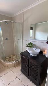 La salle de bains est pourvue d'une douche et d'un lavabo. dans l'établissement The Palms 3 bedroom loft apartment in leafy suburb, à Durban