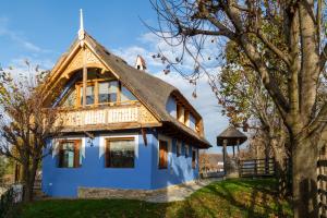 a blue house with a thatched roof at Casele cu Stuf B&B Haus Ulrike in Sălicea