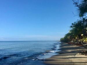 una playa con palmeras y el océano en Casa Manglar, en Tolú