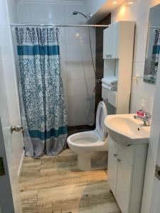 a small bathroom with a toilet and a sink at Cabañas y Departamentos Las Palmas, Temuco Depto 4 in Temuco