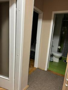 Koupelna v ubytování Apartman Iva II