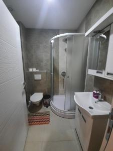 a bathroom with a shower and a toilet and a sink at Apartmani Nikolaj in Banja Koviljača +26 photos
