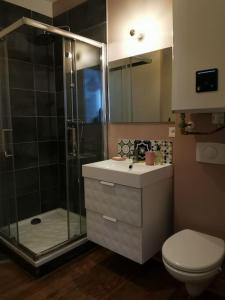 Koupelna v ubytování Appartement dans une villa au cœur de la ville