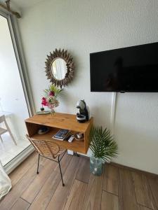 TV a/nebo společenská místnost v ubytování Au Joly Cherry