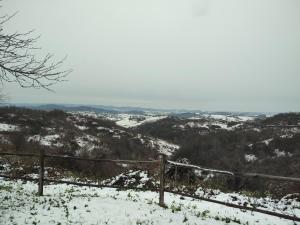 a snow covered hill with a fence on top of it at Two cats in Cetingrad