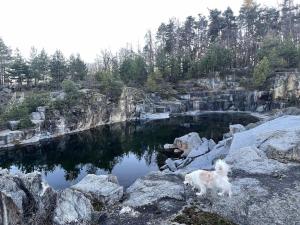 Loodusmaastik puhkemaja lähedal