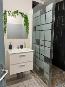 La salle de bains est pourvue d'un lavabo blanc et d'une douche. dans l'établissement Le cosy en cœur de ville, à Prades