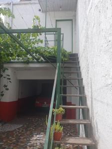 una escalera que conduce a un garaje con macetas en Verde Parra en Godoy Cruz