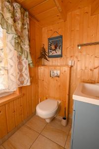 a bathroom with a toilet and a sink in a cabin at Rezydencja Nosal in Zakopane