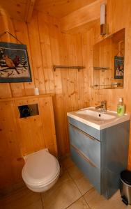 a bathroom with a toilet and a sink at Rezydencja Nosal in Zakopane