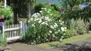 a garden with white flowers next to a white fence at Cozy Haven - Waihi in Waihi
