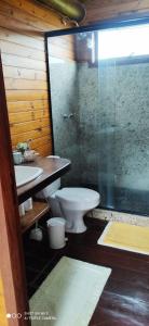 y baño con aseo, lavabo y ducha. en Cabana Vista Maravilhosa en Visconde De Maua