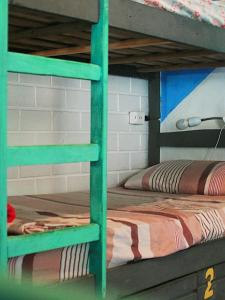a green bunk bed in a room with a bunk bed at Praia do Rosa Hostel in Praia do Rosa