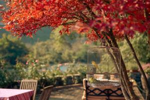 una gabbia per uccelli seduta su una sedia accanto a un albero di The Apsara Lodge a Yangshuo