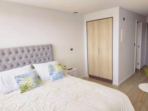 1 dormitorio con 1 cama grande y 2 almohadas en Departamento estudio IslaTeja en Valdivia