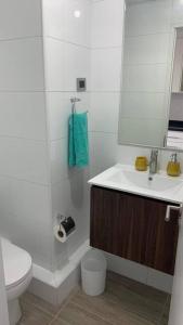 a bathroom with a sink and a toilet and a mirror at Departamento estudio IslaTeja in Valdivia