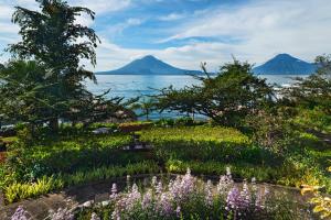 ホテルの近くで見られる自然の景観