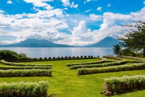 una fila di cespugli in un campo vicino all'acqua di Hotel Atitlan a Panajachel