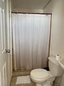 a bathroom with a toilet and a shower curtain at Christina's Guest House OFFICIAL in Little Corn Island