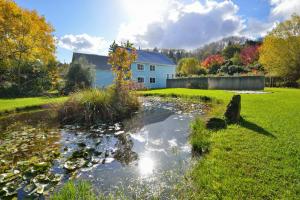 a pond in the yard of a house at The Gisborne Club - Boutique accommodation in Gisborne