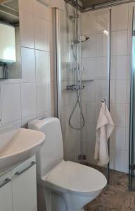 a bathroom with a shower and a toilet and a sink at Minihuset nära havet in Varberg
