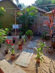 a garden with potted plants and a street sign at Namaste Beach Huts in Patnem