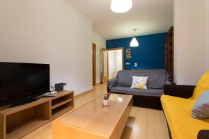 ein Wohnzimmer mit einem Sofa und einem Flachbild-TV in der Unterkunft Apartamento Calle Concepcion Centro in Granada