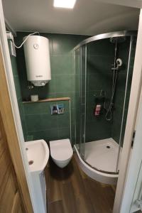 zieloną łazienkę z toaletą i prysznicem. w obiekcie Pałac Rozkochów -Domki Hrabiego- domek 2 