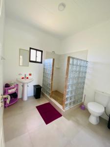 a bathroom with a shower and a toilet and a sink at Anse Grosse Roche Beach Villa in La Digue