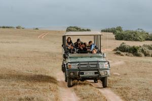 Hosté ubytování Hlosi Game Lodge - Amakhala Game Reserve