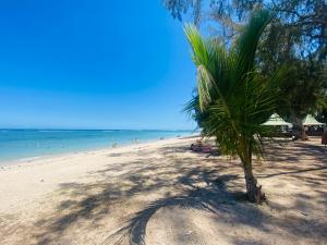 a palm tree on a beach with people in the water at 2 pokojový byt ve Flic en Flac Mauricius in Flic-en-Flac