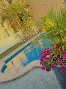 a swimming pool with some flowers and plants at Pacific Coast Motel in Gold Coast