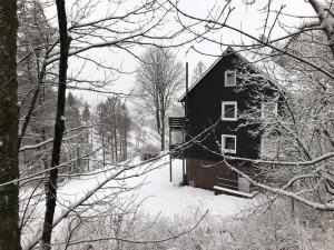 a house is covered in snow in the woods at Fewo Nartura: Modern – Idyllisch – stilvoll – ruhig in Sankt Andreasberg