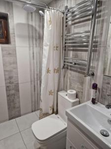 een badkamer met een toilet, een douche en een wastafel bij Дом in Gjoemri