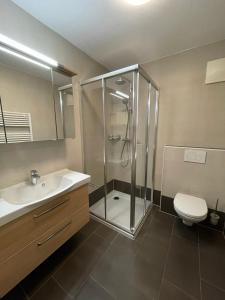 een badkamer met een douche, een wastafel en een toilet bij Ferienwohnungen Passrugger in Eben im Pongau