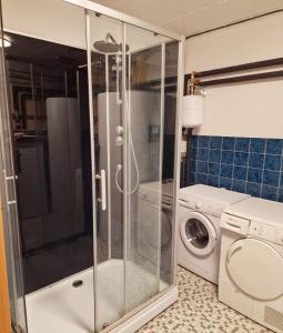 a bathroom with a shower and a washing machine at Large and beautifully decorated pool house in Tomelilla, Österlen in Tomelilla