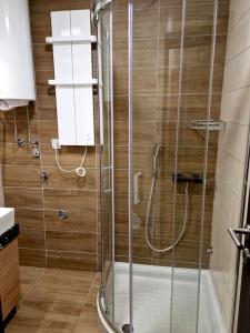 une douche avec une porte en verre dans une salle de bain dans l'établissement Sunčana Planina Kopaonik, à Kopaonik 30 autres photos