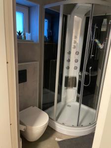a bathroom with a shower and a toilet at Ny Hybel leilighet med eget bad og egen inngang in Moss