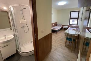 a bathroom with a shower and a toilet and a sink at Noclegi in Ruda Śląska