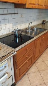 uma cozinha com um lavatório de aço inoxidável e um fogão em Cà dei Zoani casa vacanze 022139 AT 722787 em Pergine Valsugana