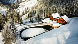 Bergseegut Chalet und Apartment v zime