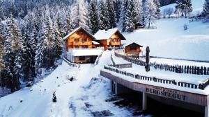 Bergseegut Chalet und Apartment v zime