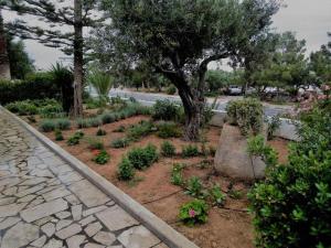 a garden with plants and a tree and a street at Studio with sea view in Ierapetra