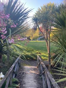 un sentiero in legno attraverso un giardino con una palma di Private Guest House a Mapua