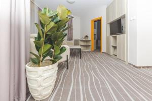 a living room with a plant in a large pot at Hotel Akwawit in Leszno