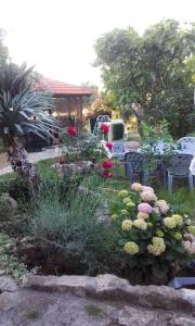 - un jardin fleuri avec une table et des chaises dans l'établissement Apartments Branimir, à Zadar