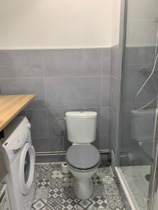 La petite salle de bains est pourvue d'une douche et de toilettes. dans l'établissement Gîte meublé 1 à 4 pers à Yutz proche Cattenom Thionville Luxembourg, à Yutz