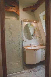 ein Badezimmer mit Dusche, Waschbecken und Spiegel in der Unterkunft Villa de rêve in Couze-et-Saint-Front