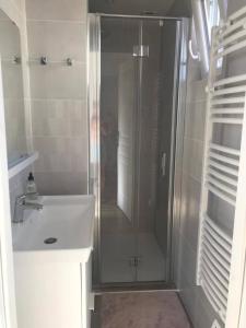 ein Bad mit einer Dusche und einem Waschbecken in der Unterkunft Logement : 2 chambres (5 couchages), salle de bain in Pierrefitte-sur-Sauldre